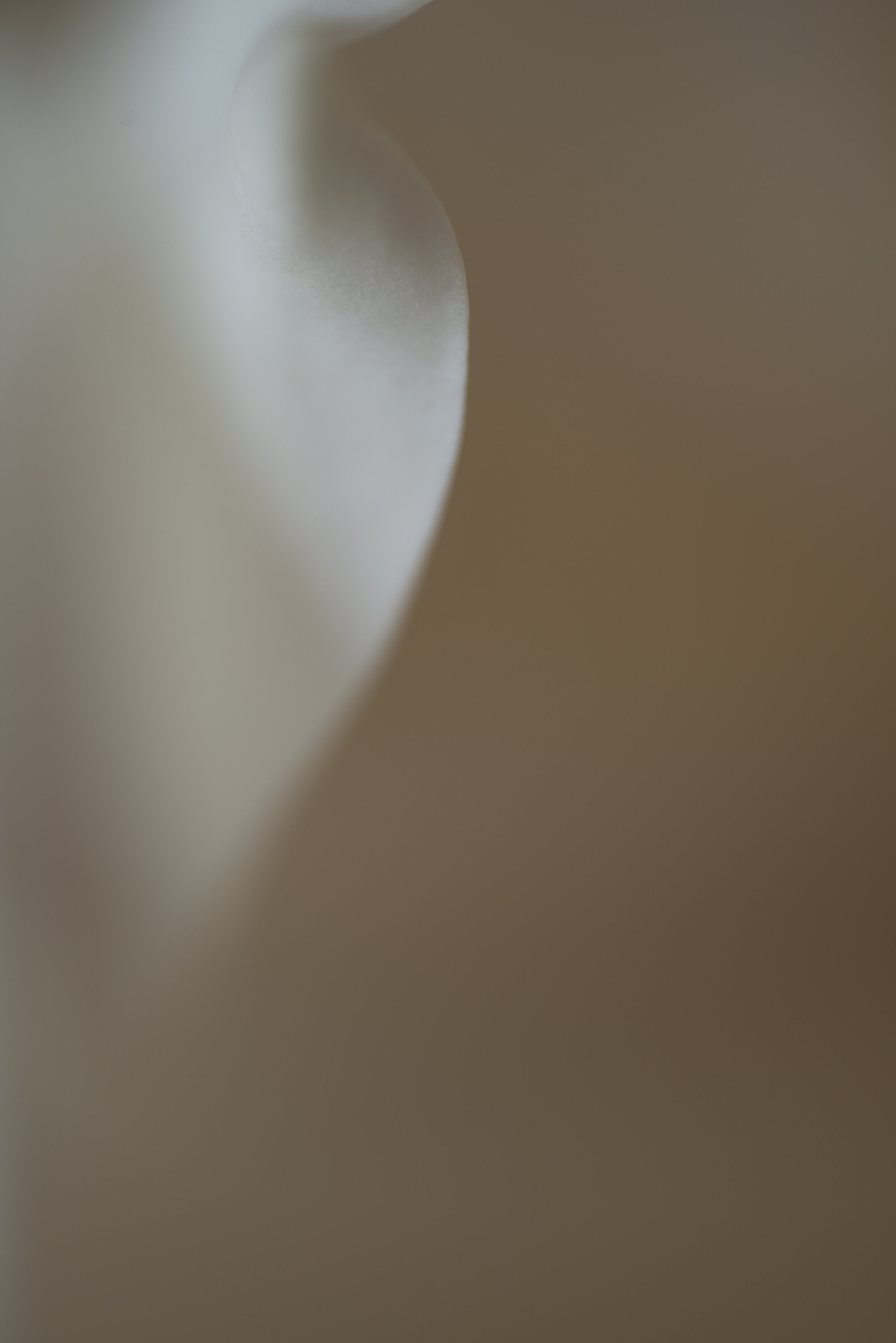 She