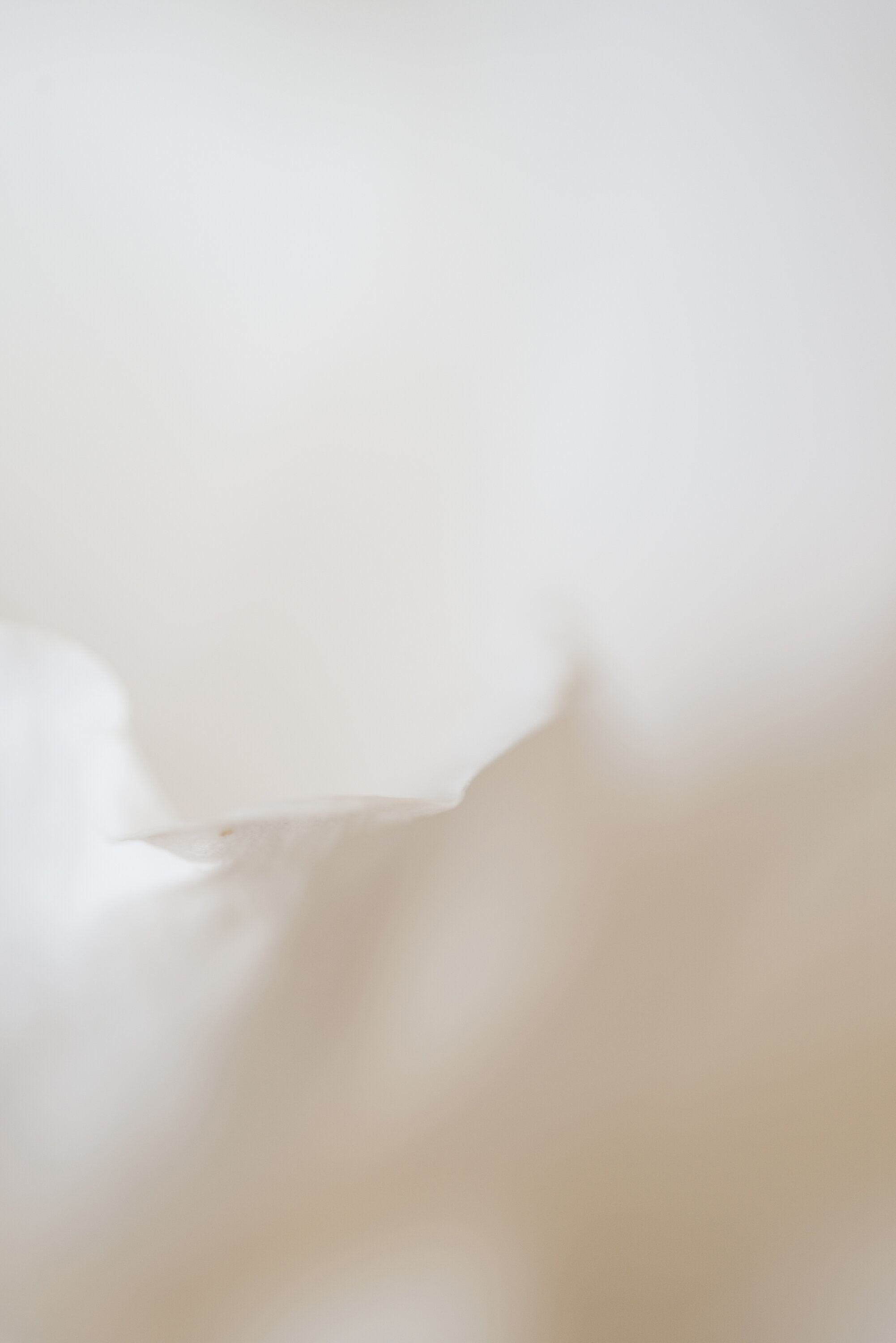 Quietude