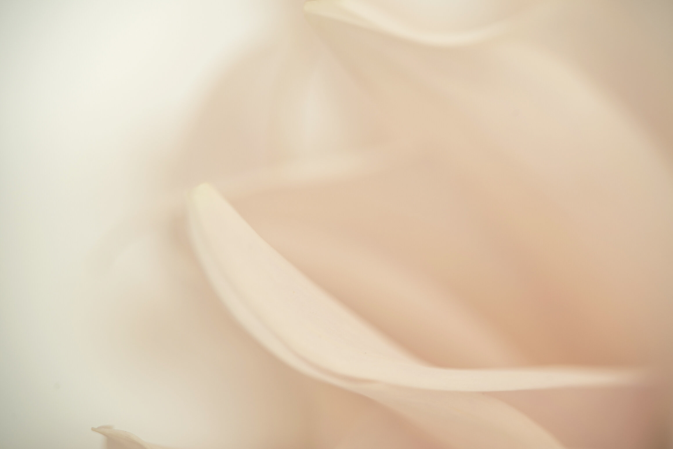 Float Fine Art print full image unframed Kiki-Sunshine.com